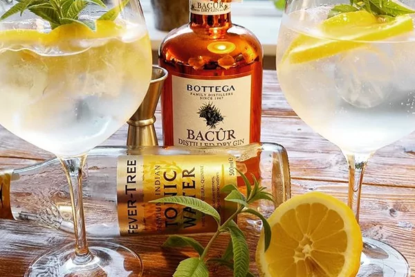 Gin's